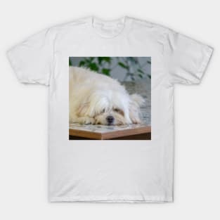 Lazy Sophie T-Shirt